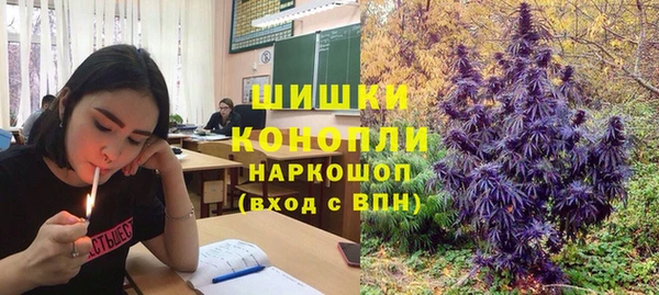 mix Мегион