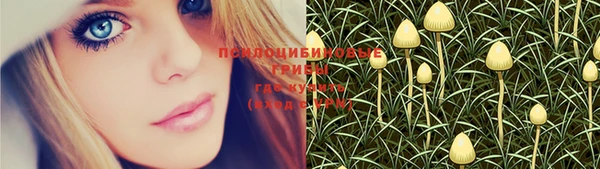 mix Мегион