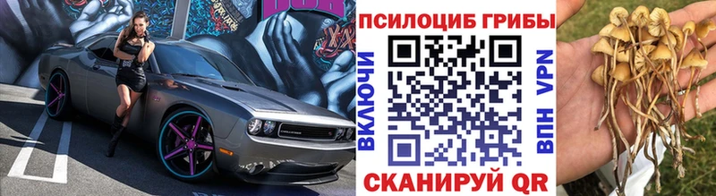 мориарти Telegram  Любань  ОМГ ОМГ ссылка  Галлюциногенные грибы прущие грибы  магазин продажи наркотиков 